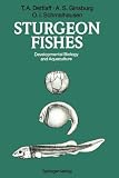 ISBN 9783642770593 product image for Sturgeon Fishes: Developmental Biology and Aquaculture | upcitemdb.com