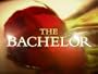 #1301 - Bachelor Special