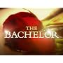 The Bachelor Season 13