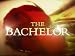 #1301 - Bachelor Special
