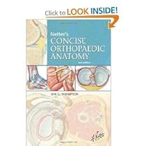 Netter's Concise Orthopaedic Anatomy 2nd Second edition byThompson Netter's Concise Orthopaedic Anatomy 2nd Second edition byThompson