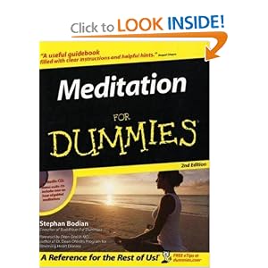 Meditation For Dummies (Book and CD edition) [Paperback]