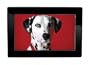 Kodak OLED 7.6-Inch Wireless Digital Frame