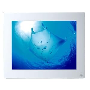 【クリックで詳細表示】エンティス デジタルフォトフレーム スリム800 ホワイト EN-SLIM800WH