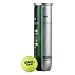 Wilson Tennisball Tour Davis Cup, gelb