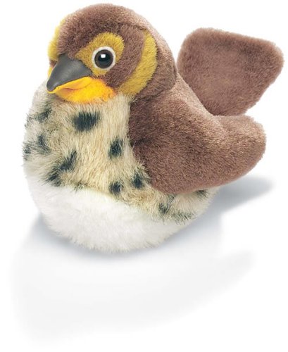 Childrens Toyshop  Toys : RSPB Song Thrush