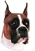   - Boxer Bumper Magnet2008