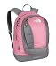 The North Face Vault Backpack