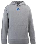 Memphis YOUTH Boys Signature Hooded Sweatshirt (Grey)