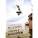 �K���W�X�͂Ńo�^�t���C �f�B���N�^�[�Y�E�J�b�g�Ły2���g�z [DVD]