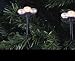 Kurt Adler 10-Light Victorian Street Lamps Light Set