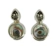 Black Diamond Crystal & Natural Abalone Earring