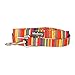 Blueberry Pet Essentials Durable Nautical Flags Inspired Designer Dog Leash 5 ft x 3/8