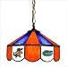 Wave 7 UFL-140 University of Florida 14 Wide Swag Hanging Lamp