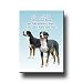 Greater Swiss Mountain Dog Can't Have Just One Fridge Magnet