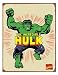Search : The Incredible Hulk Metal Sign