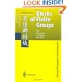 Theory of Blocks of the Finite Groups by Lluis Puig