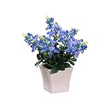 Return to product information