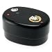 Kotobuki 2-Tiered Bento Box, Black/Gold Curled Cat