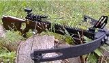 Armbrust WILDCAT- COMPOUND 165lbs Holzdesign