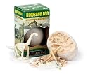 Dinosaur Egg with Skeleton