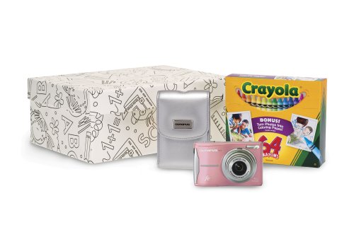 FE46 Pink Crayola Kit