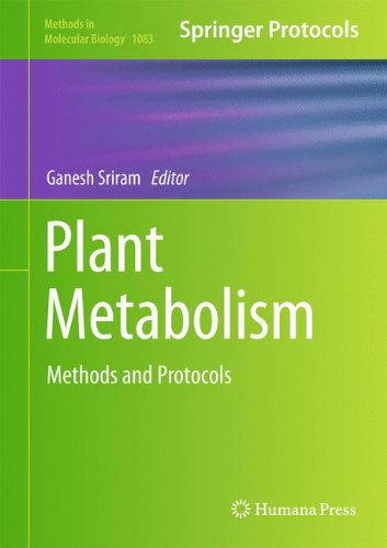 Plant Metabolism: Methods and Protocols (Methods in Molecular Biology)