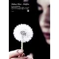 Muhlifein [DVD]