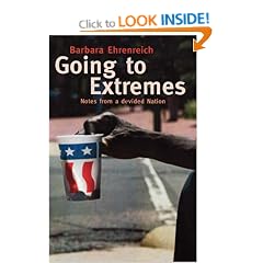 Going to Extremes: Notes from a Divided Nation