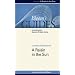 A Raisin in the Sun (Bloom's Guides)