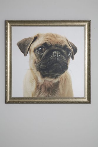 Kare 30562 Bild Frame Mops 71 x 71 x 20 cm Leinwand Holz