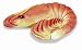 Caribe 67-120 Shrimp- ()