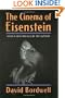 The Cinema of Eisenstein