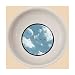 Daydream Porcelain Cat Bowl