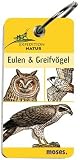 Expedition Natur - Eulen und Greifv&ouml;gel - Anita van Saan