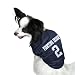 Notre Dame Fighting Irish #2 Navy Dog Football Jersey