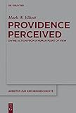 Providence perceived : divine action from a human point of view