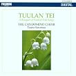 A bouquet Of Finnish Folk