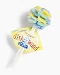 Dish Wand Plus 2pk