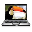 HP Pavilion DV6725US 15.4-inch Entertainment Laptop (AMD Turion 64 X 2 Dual Core TL-60 Processor, 2 GB RAM, 160 GB Hard Drive, Vista  Premium)