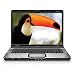 HP Pavilion DV6725US 15.4