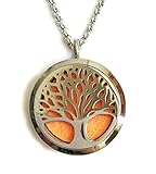 Diffuser Necklace, Denee Aromatherapy Essential Oil Diffuser Necklace Jewelry, Hypo-Allergenic 316L Surgical Grade Stainless Steel Locket Pendant with 24