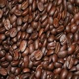 Bolivian Usda Organic Shade Grown Coffee - Decaf - 1 Lb (Whole Bean) French - Dark Roast