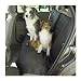 Pet Supplies : Guardian Gear Rear Seat Cover