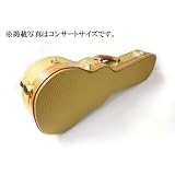 STEADY テナーウクレレ用ひょうたん型ハードケース/TWEED　UKC-TEN TW