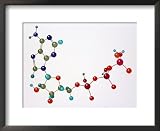 Adenosine Triphosphate Framed Art Poster Print by David M. Dennis, 22x18