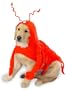 SMALL - LOBSTER PAWS - Dog Halloween Costume