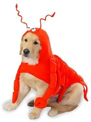 Casual Canine 20-Inch Polyester Lobster Paws Dog Costume, Large