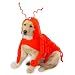 Casual Canine Lobster Paws Costume Lrg