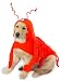 SMALL - LOBSTER PAWS - Dog Halloween Costume